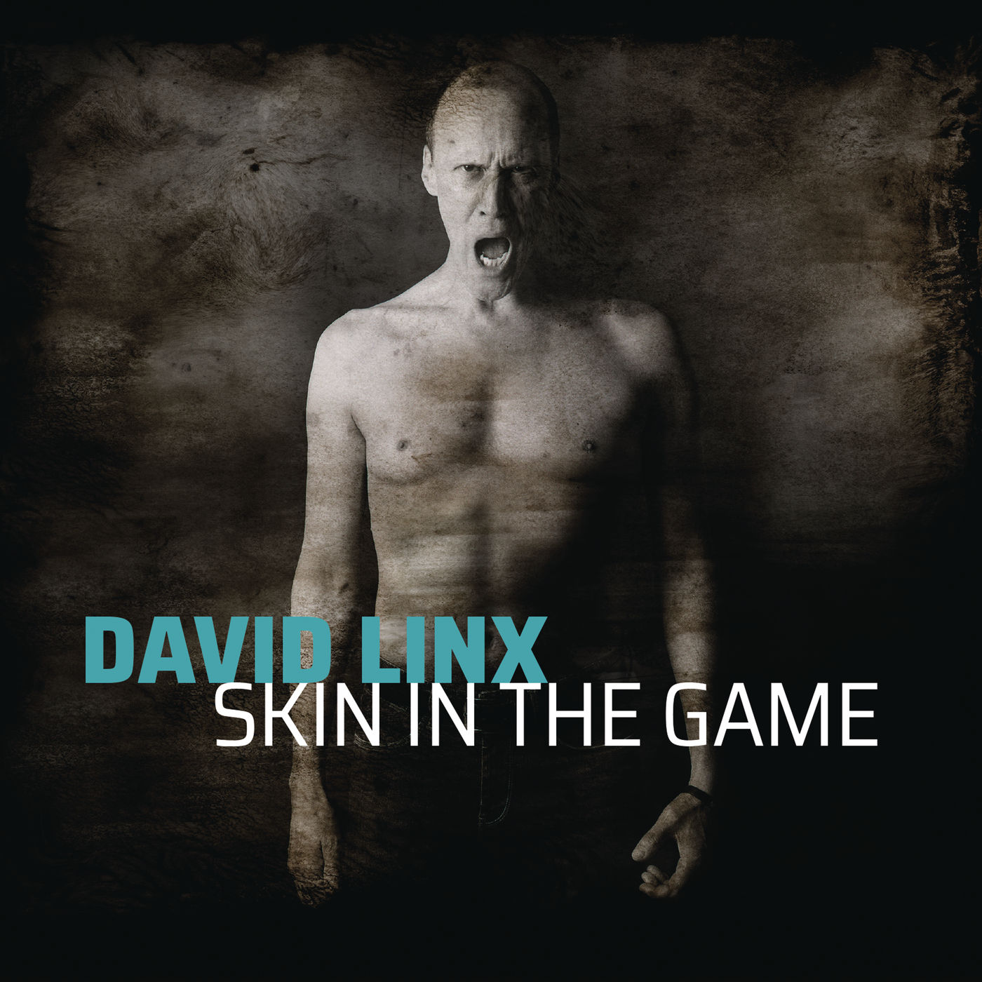 David Linx – Skin in the Game (2020) Hi-Res | FLAC | 44.1kHz/24bit