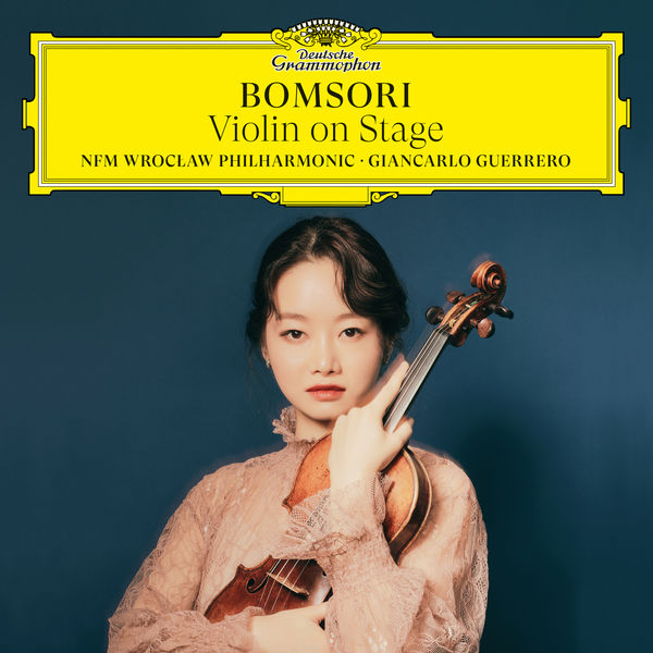 Violin on Stage